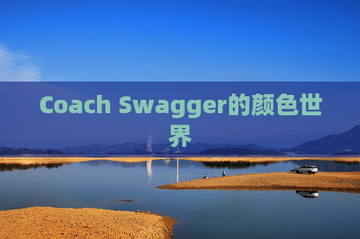 Coach Swagger的颜色世界 Coach Swagger的颜色世界